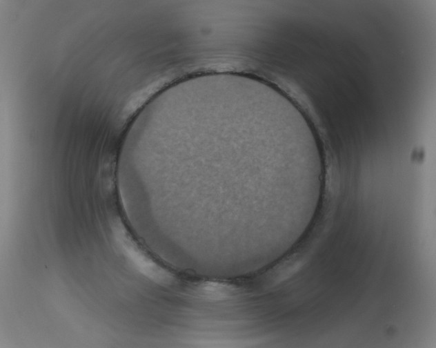 X0000113180393200910161337
