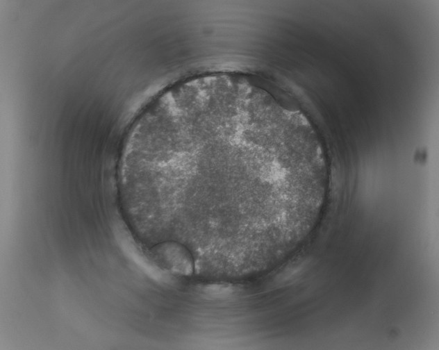 X0000113180394200910161337