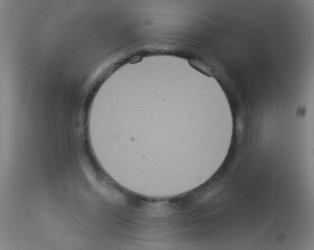 X0000113180396200910161337