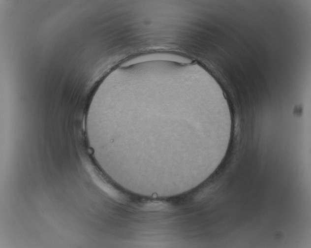 X0000113180397200910161337