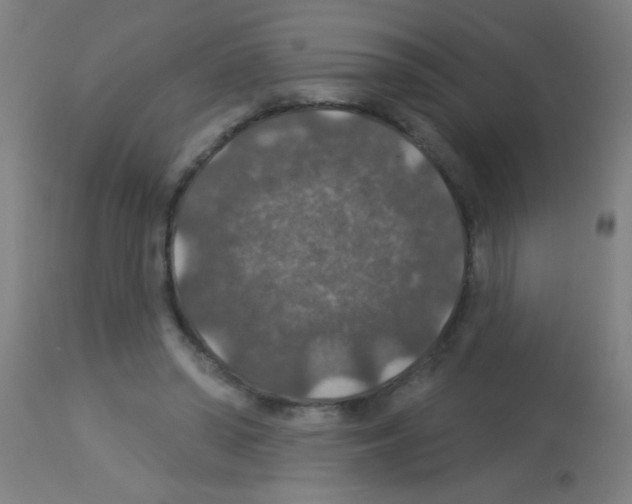X0000113180398200910161337
