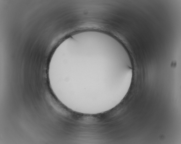 X0000113180399200910161337