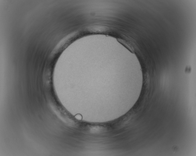 X0000113180400200910161337