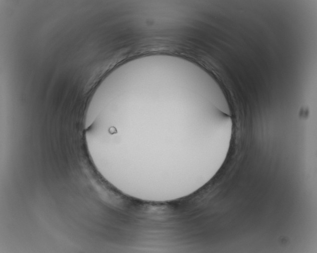X0000113180401200910161337