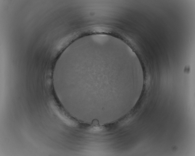 X0000113180402200910161337