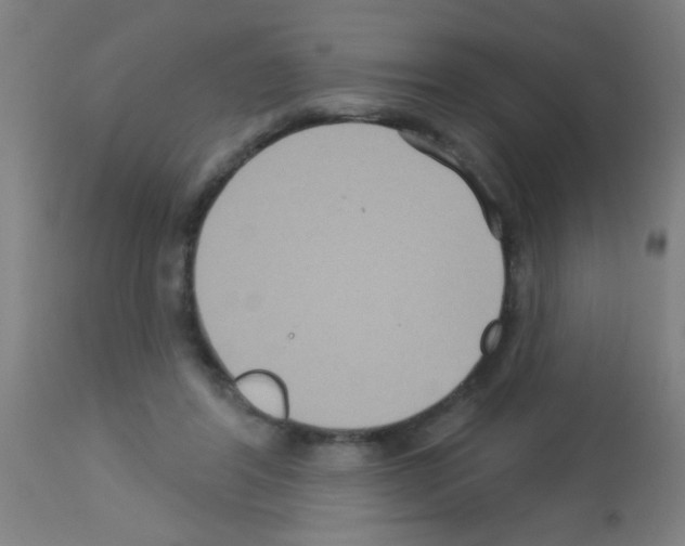 X0000113180404200910161337