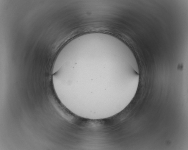 X0000113180405200910161337