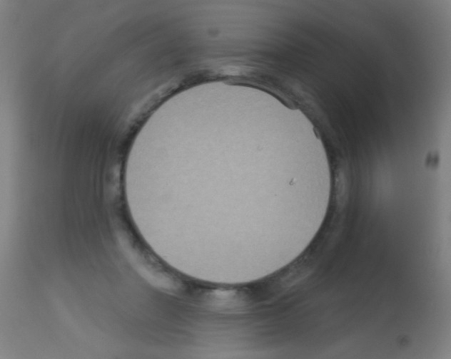 X0000113180406200910161337