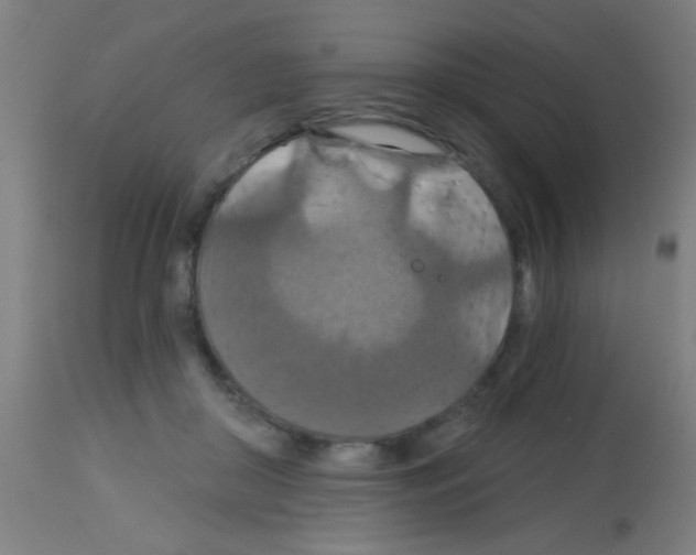 X0000113180410200910161337