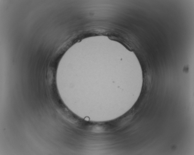 X0000113180412200910161336