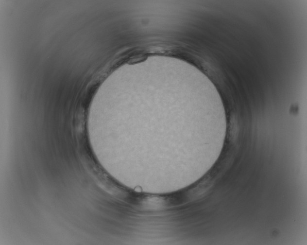 X0000113180413200910161336