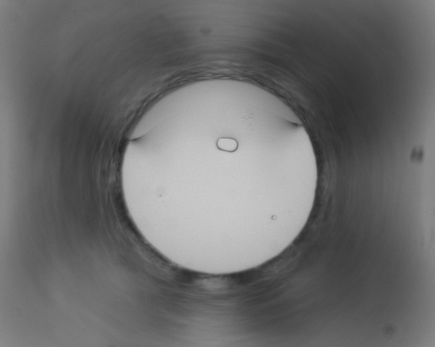 X0000113180417200910161336