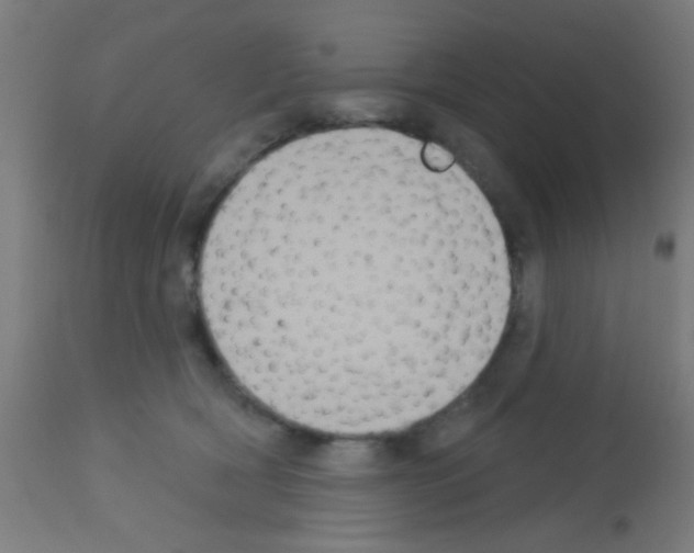 X0000113180418200910161336