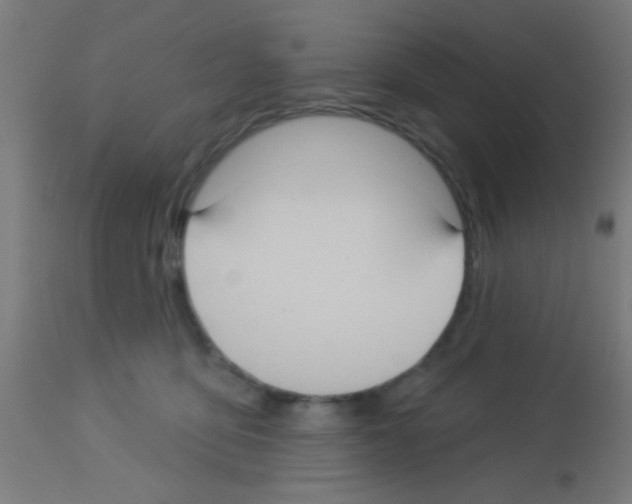 X0000113180419200910161336