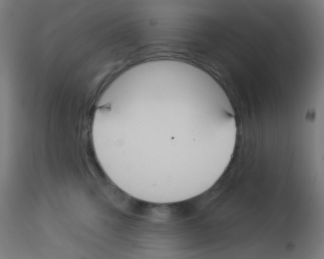 X0000113180423200910161336