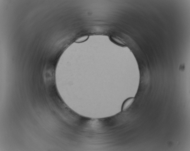 X0000113180425200910161336