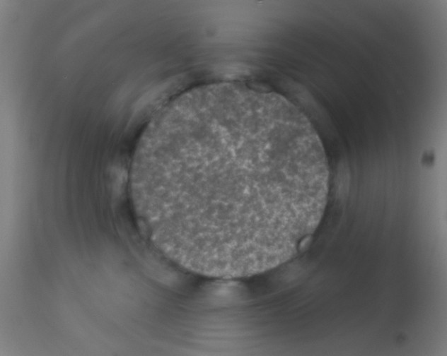 X0000113180427200910161336