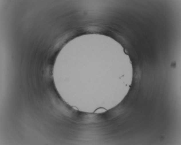 X0000113180428200910161336