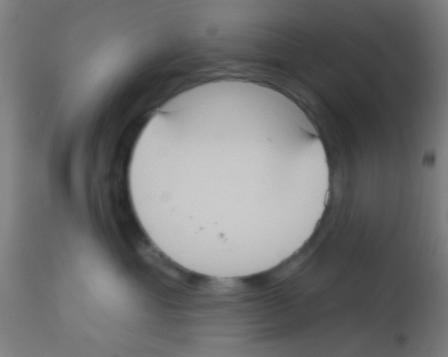 X0000113180429200910161336