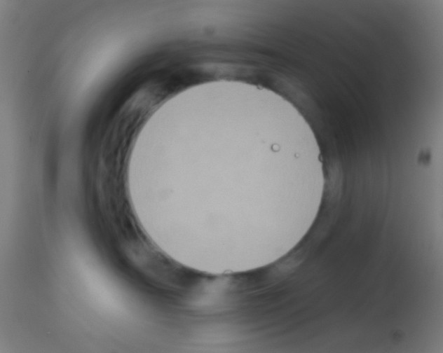 X0000113180430200910161336
