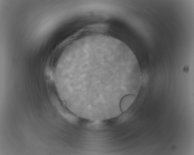 X0000113180431200910161336