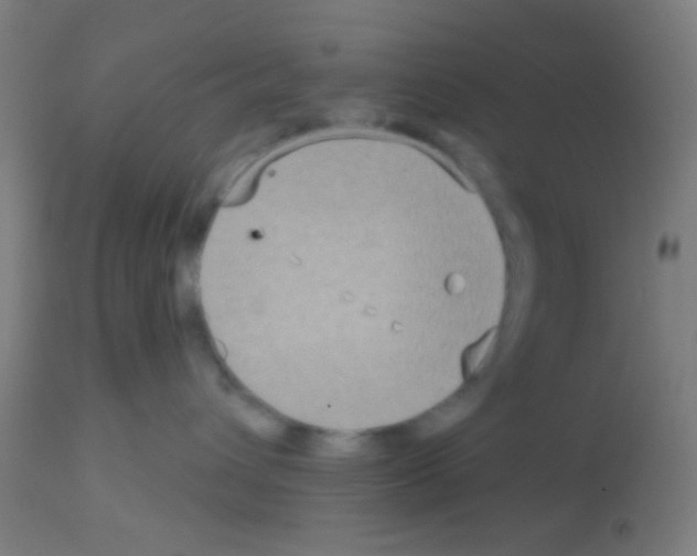 X0000113180432200910161336