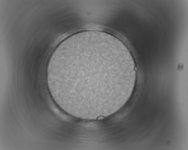 X0000113180433200910161335