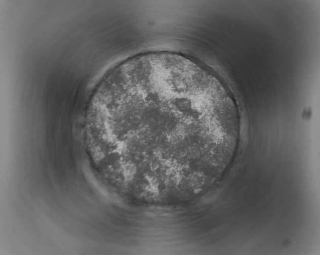 X0000113180434200910161335