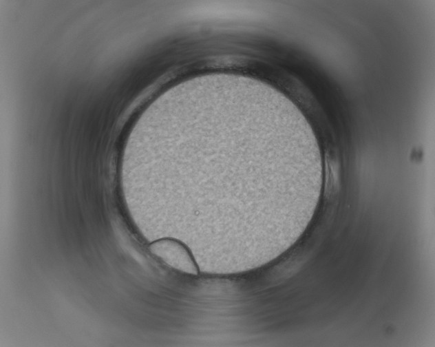 X0000113180435200910161335