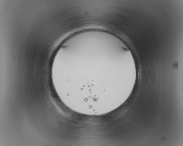 X0000113180436200910161335