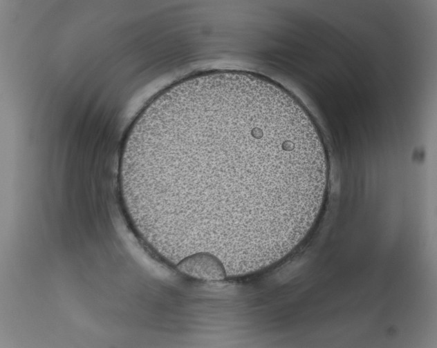 X0000113180437200910161335