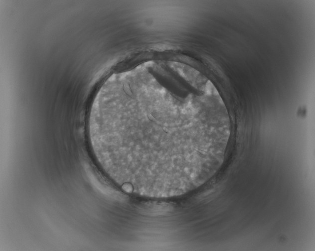 X0000113180443200910161336