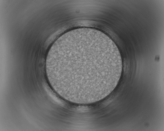 X0000113180445200910161336