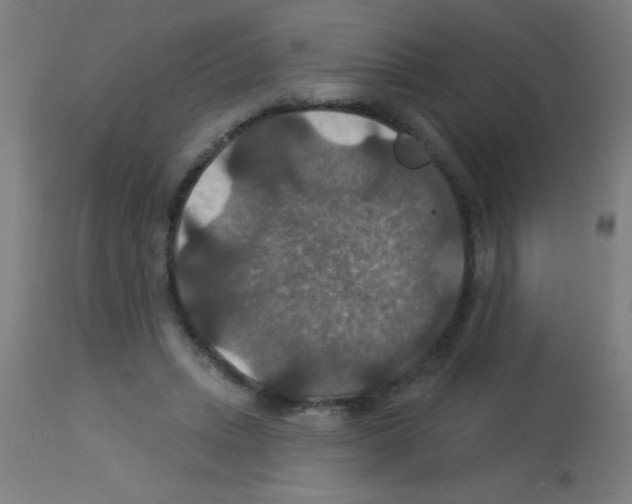 X0000113180447200910161336