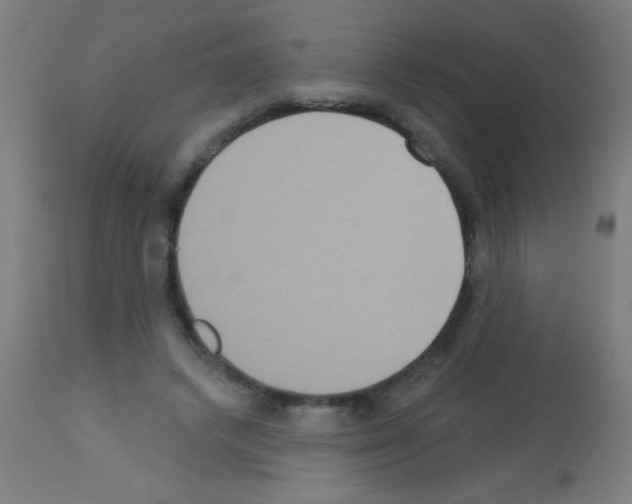 X0000113180448200910161336