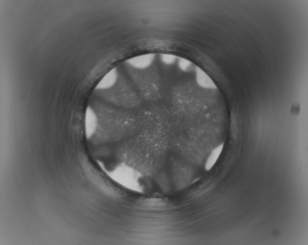 X0000113180449200910161336