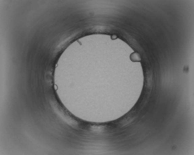 X0000113180450200910161336