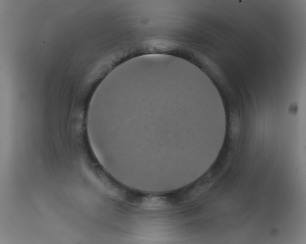 X0000113180451200910161336