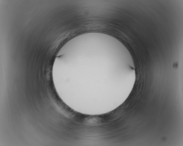 X0000113180452200910161336