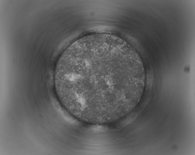 X0000113180453200910161336
