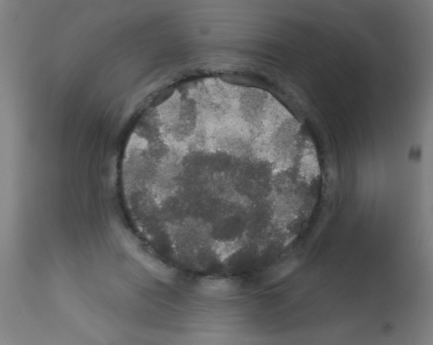 X0000113180454200910161336
