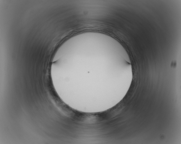 X0000113180456200910161336