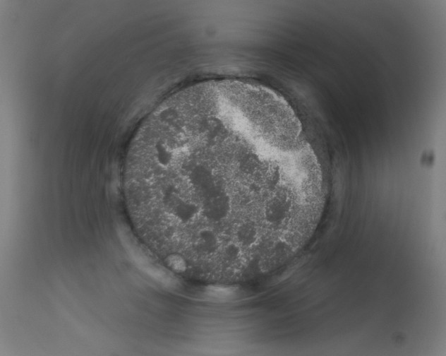 X0000113180457200910161336