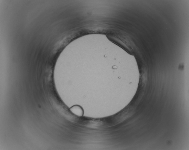 X0000113180458200910161336