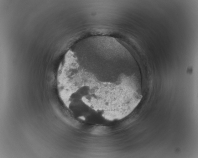 X0000113180459200910161336