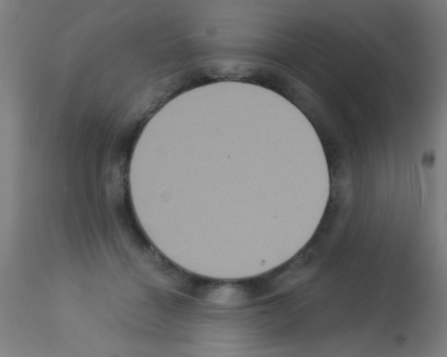 X0000113180460200910161336