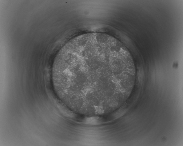 X0000113180461200910161336