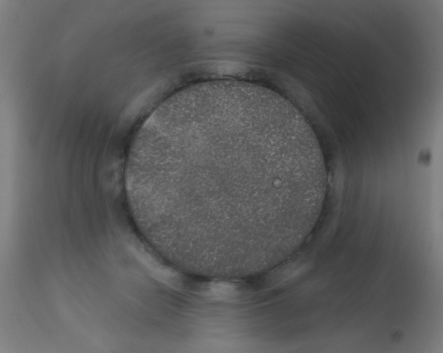 X0000113180462200910161336