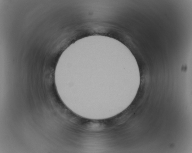 X0000113180464200910161336