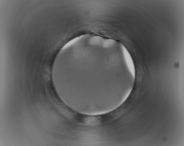 X0000113180465200910161336